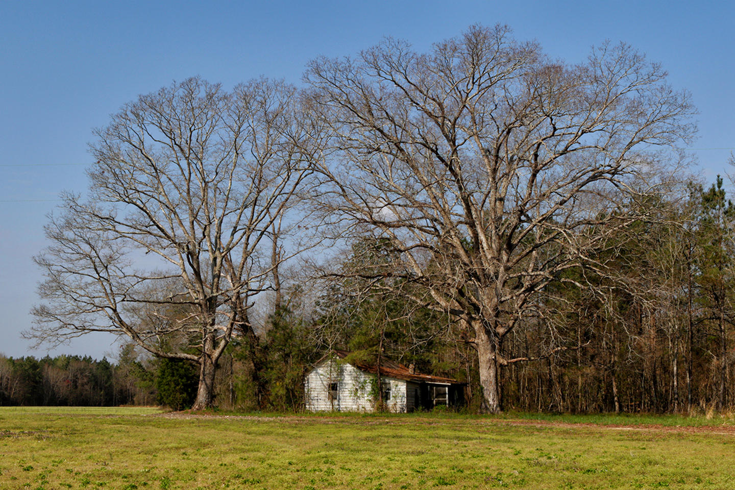 8646<br>Route 40  Stony Creek, Virginia<br>2018