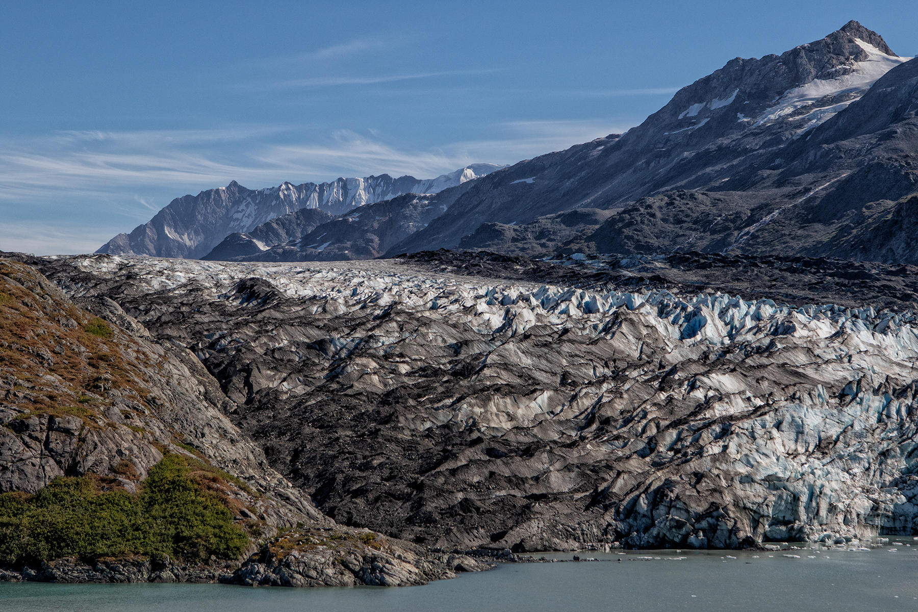 9849<br />Lamplugh Glacier<br />Glacier Bay