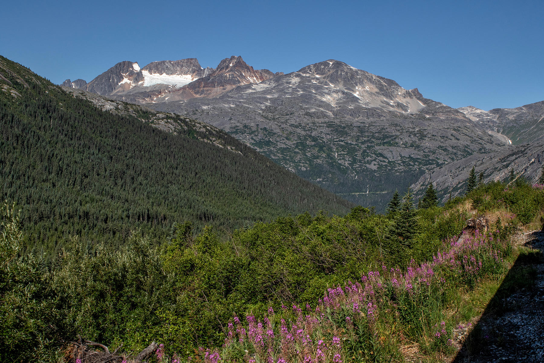 0020<br />view from White Pass & Yukon RR