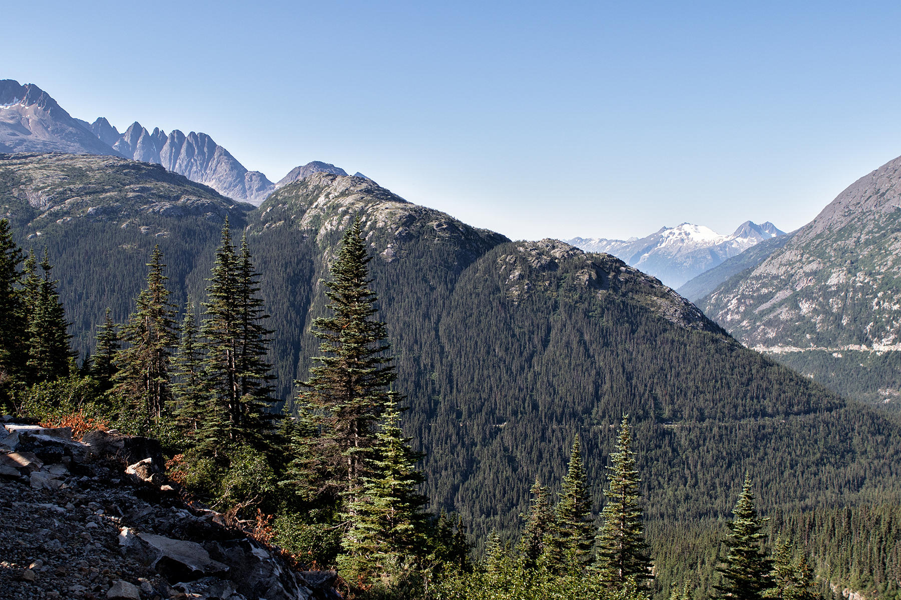 0060<br />view from White Pass & Yukon RR