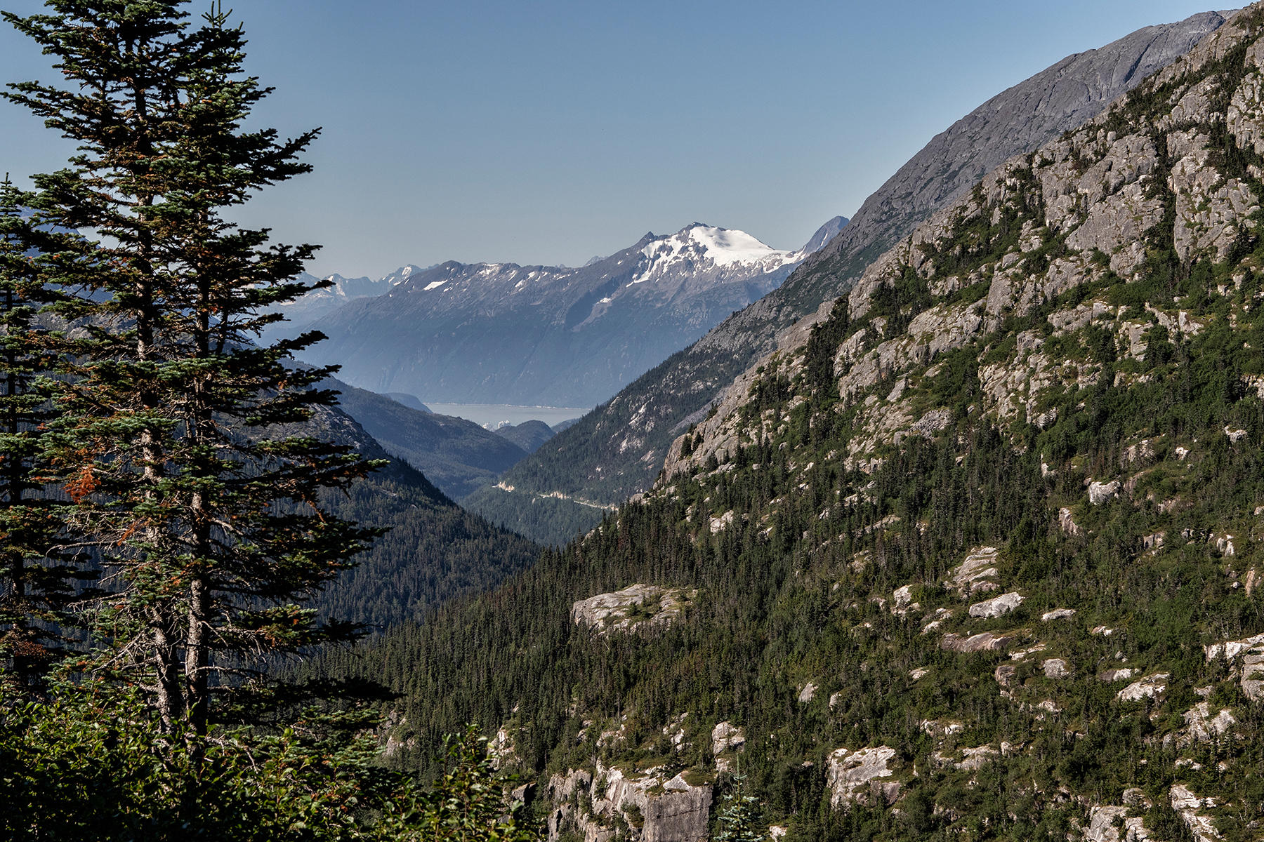 0066<br />view from White Pass & Yukon RR