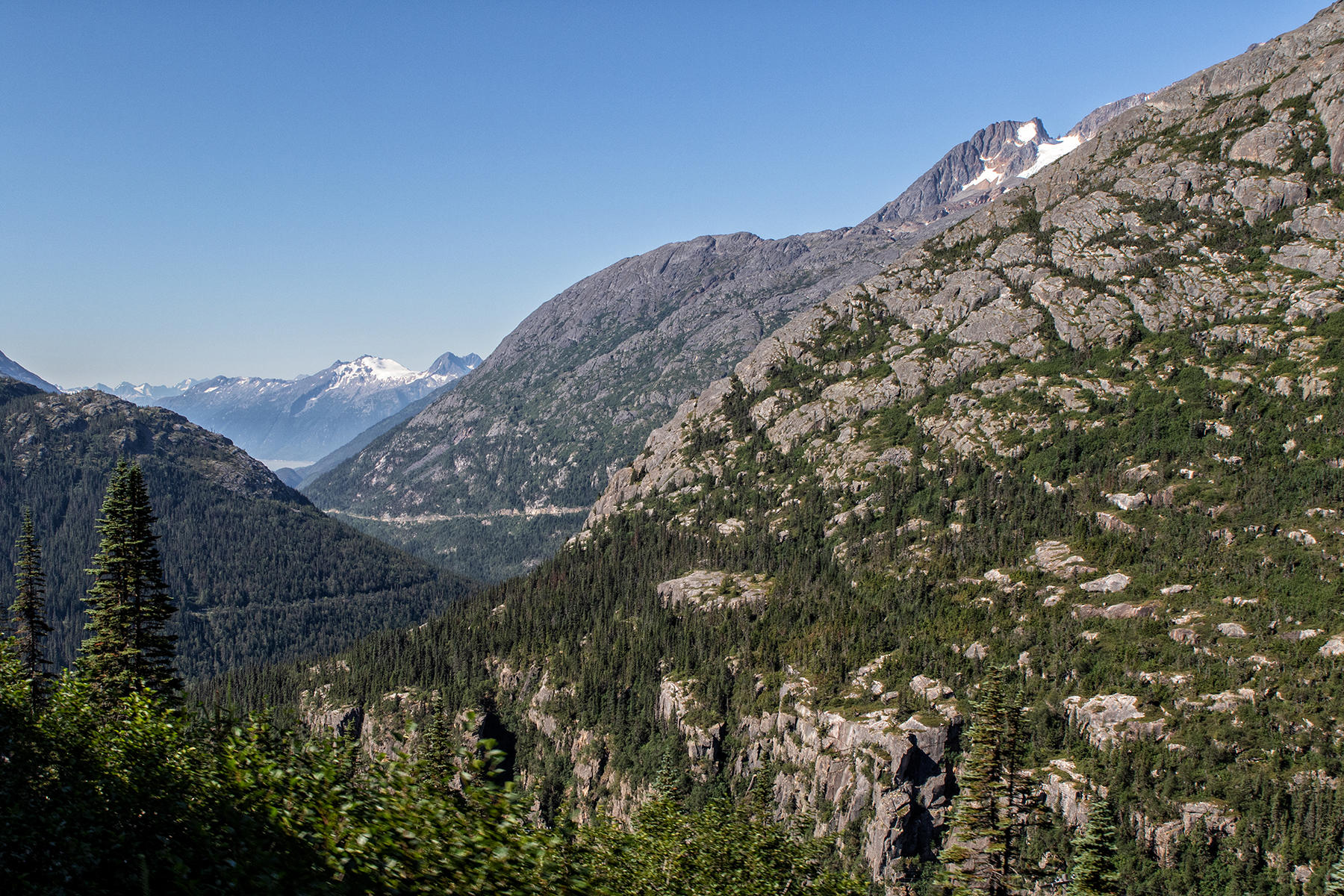 0218<br />view from White Pass & Yukon RR