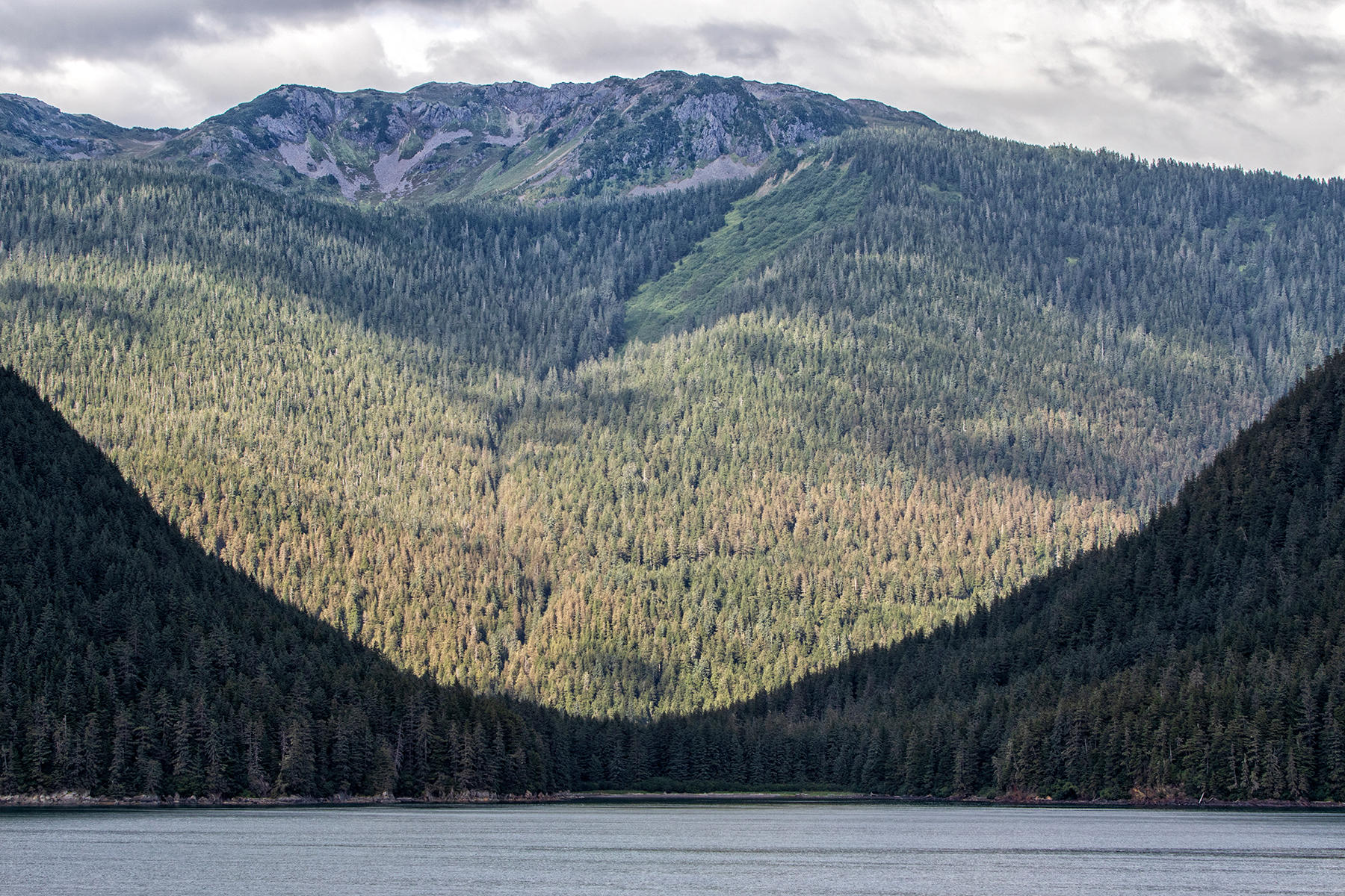 1204<br />view from Stephens Passage