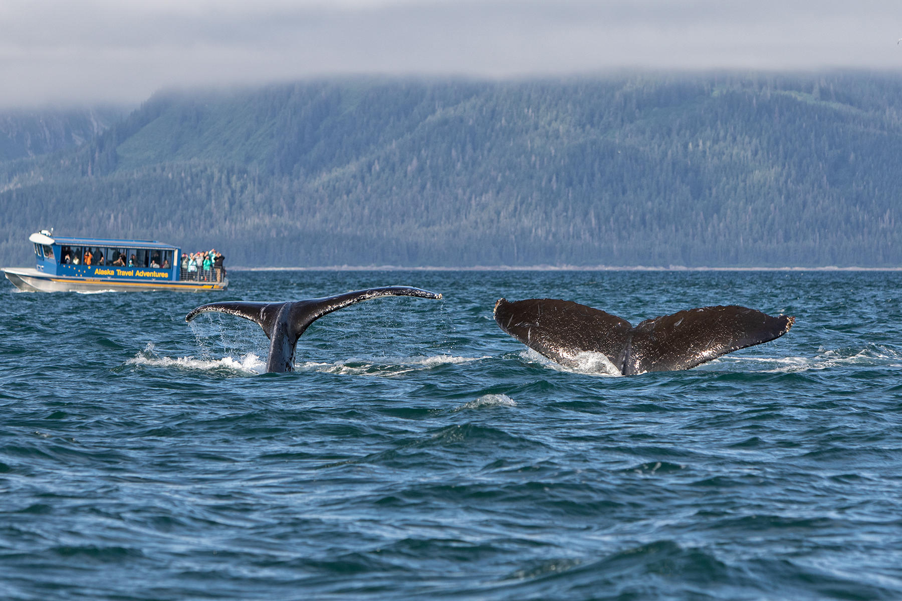 0780<br />Auke Bay<br />
Juneau