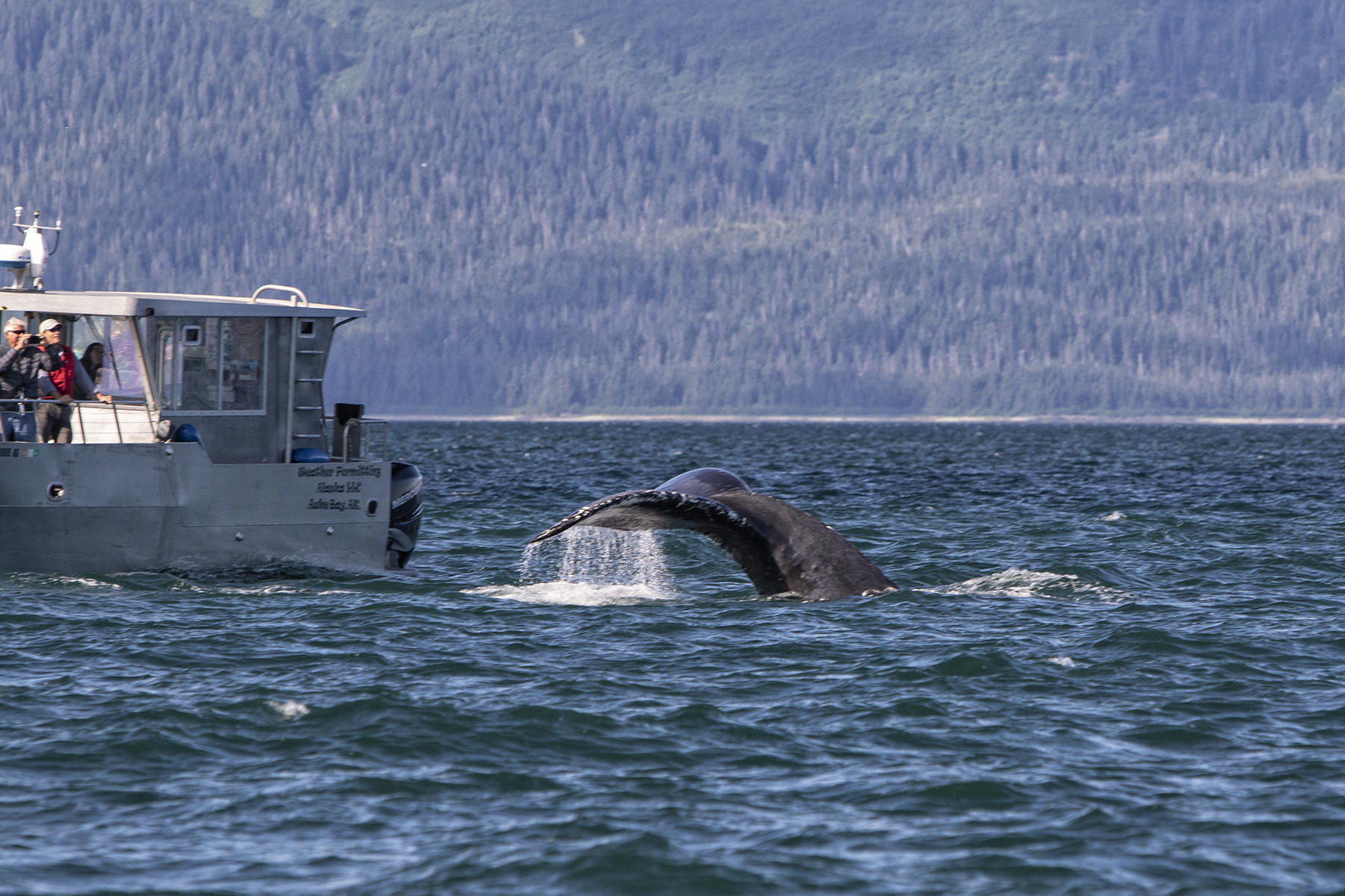 0819<br />Auke Bay<br />Juneau
