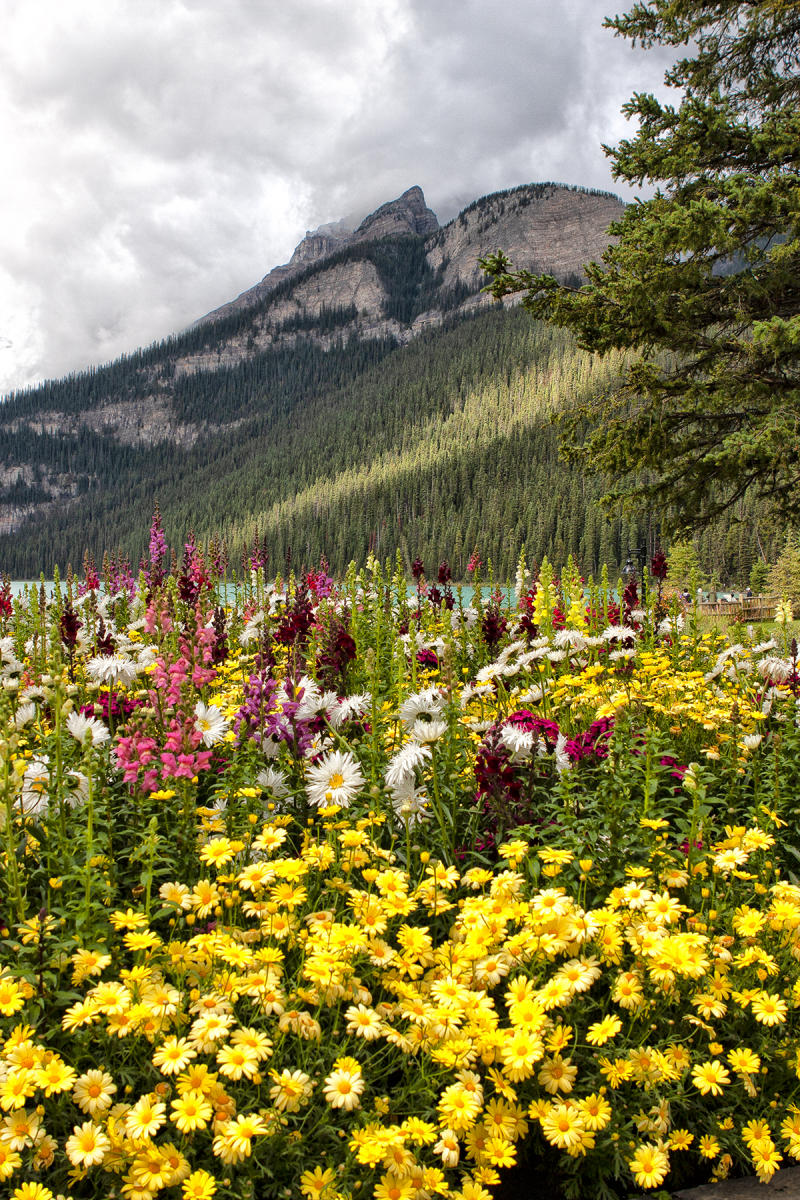 Lake Louise 1316