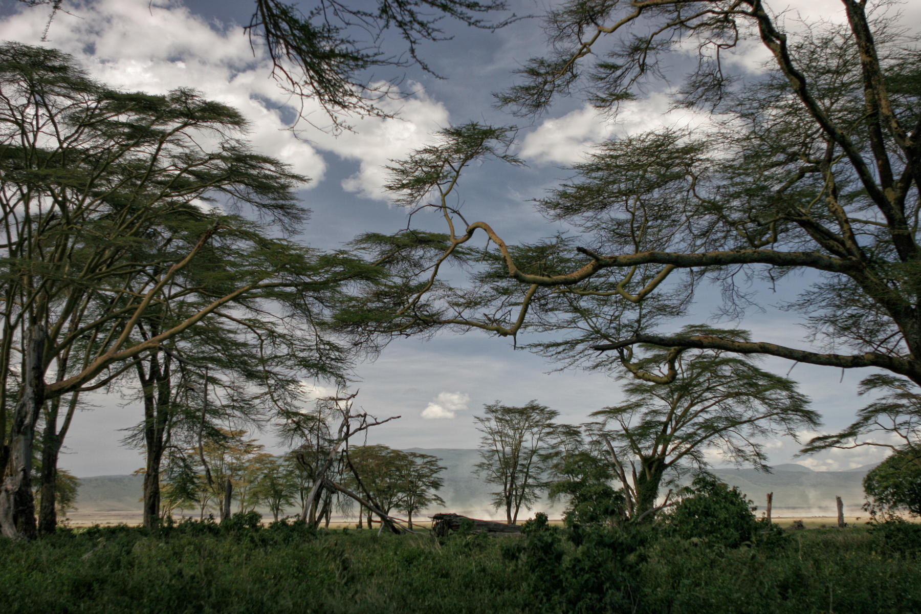 Ngorongoro Crater Tanzania<br />0730