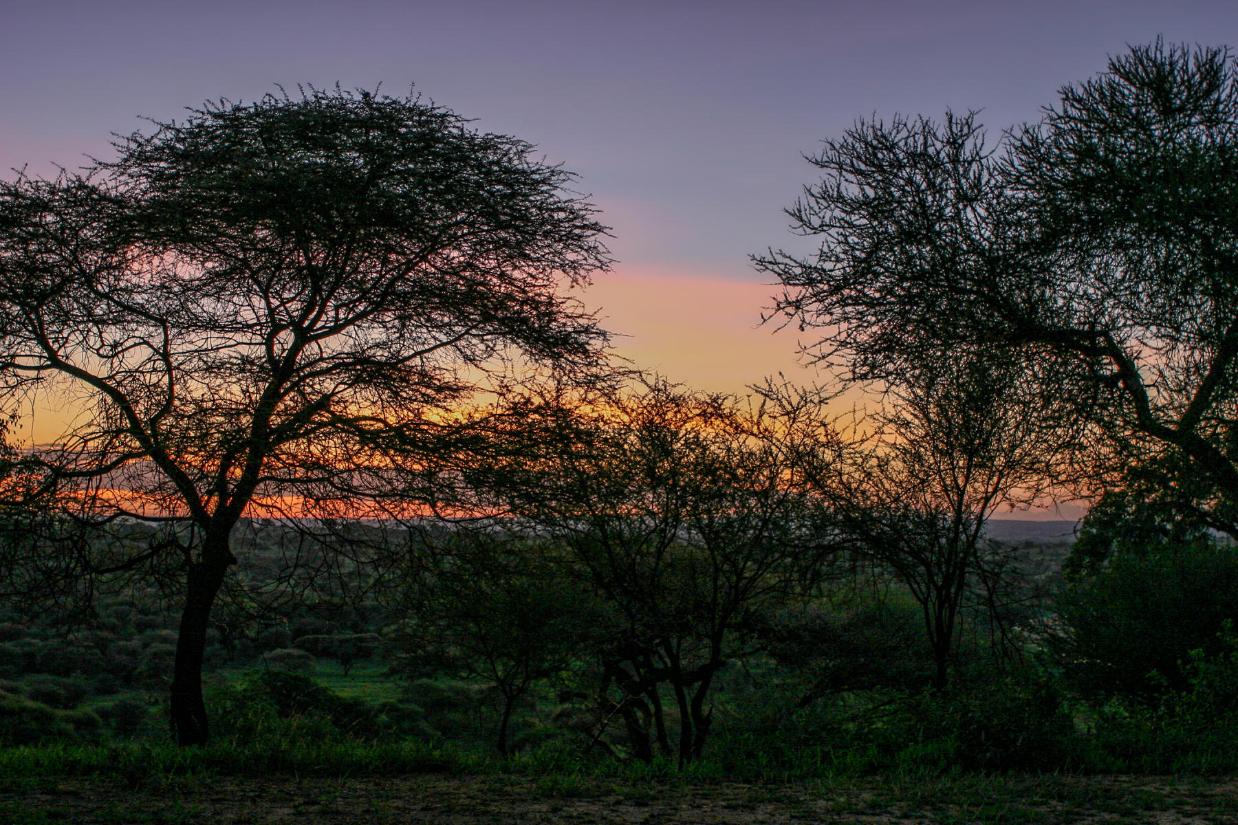 Ngorongoro Crater Tanzania<br />