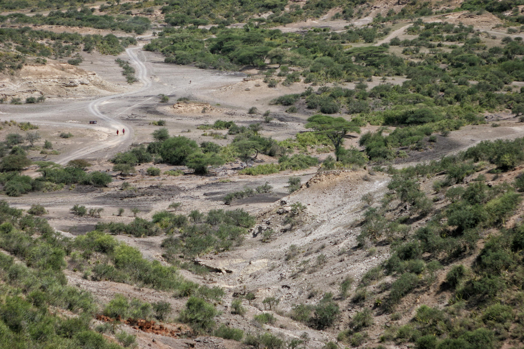 Olduvai Gorge Tanzania<br />0976