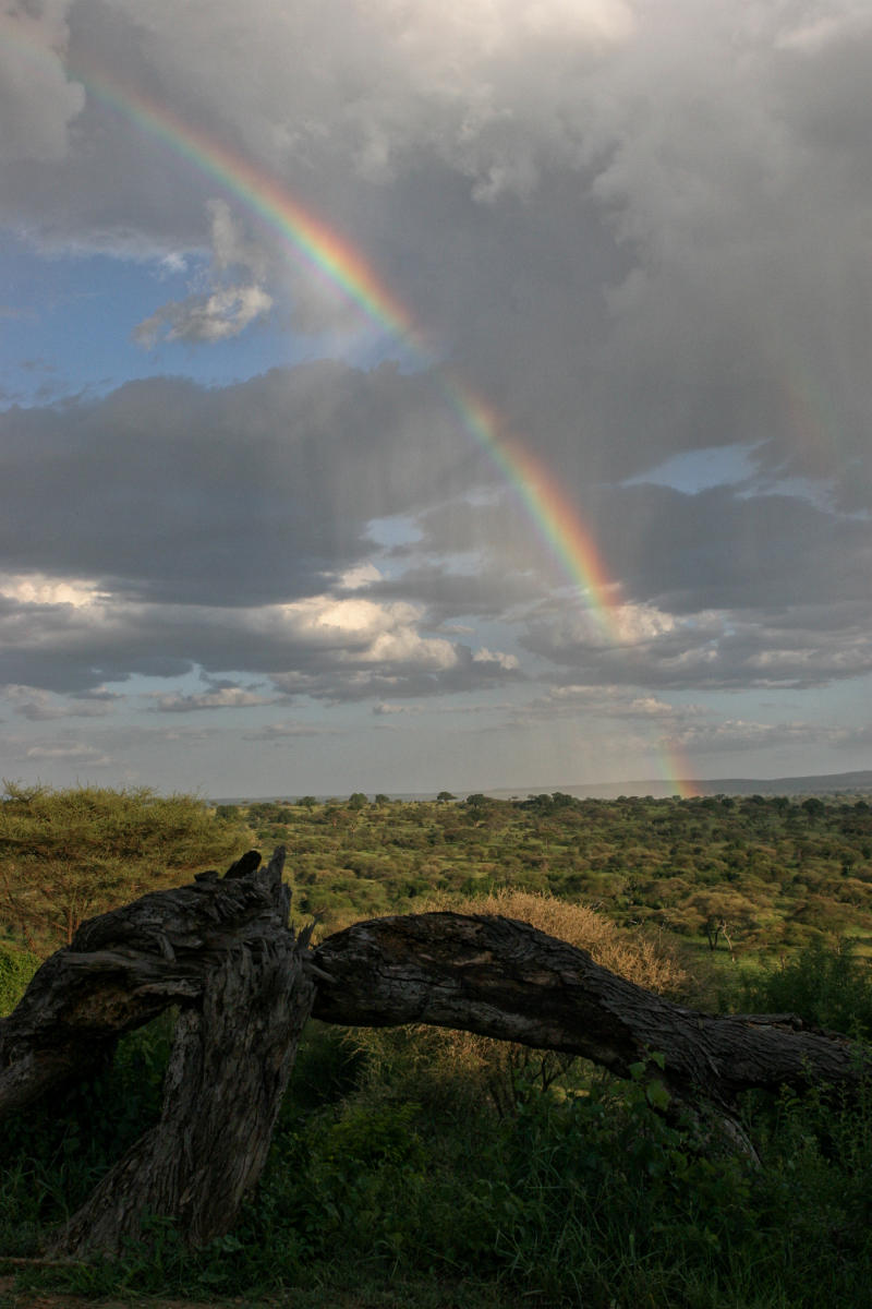 Tarangire National Park<br />9859