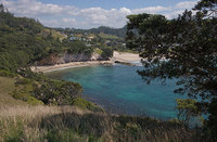 Coromandel  New Zealand