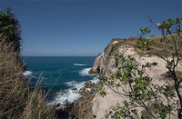 Te Pare/Coromandel  New Zealand