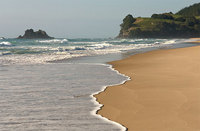 Coromandel  New Zealand