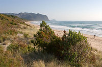 Coromandel  New Zealand