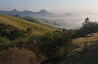 Coromandel  New Zealand