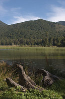 Lake Rotoroa  New Zealand