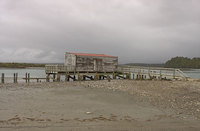 Okarito  New Zealand