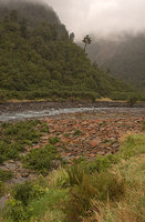 Whataroa River  New Zealand