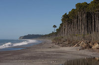 Tasman Sea  New Zealand