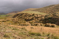 New Zealand