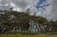 South Coast
New Zealand