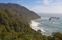 Tasman Sea  New Zealand