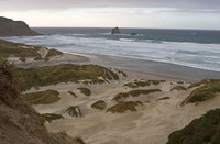 Sandfly Bay/Otago Peninsula  New Zealand