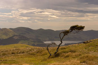 Otago Peninsula  New Zealand