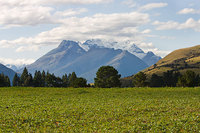 Mt Alfred  New Zealand