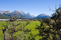 New Zealand