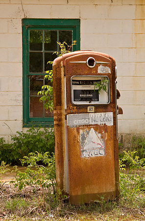 Wilcox County<br />
Alabama