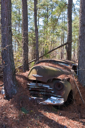 End of the Road<br />
Aiken County<br />
South Carolina