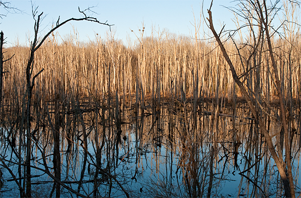 Waiting for Spring<br />
Spartanburg County<br />
South Carolina